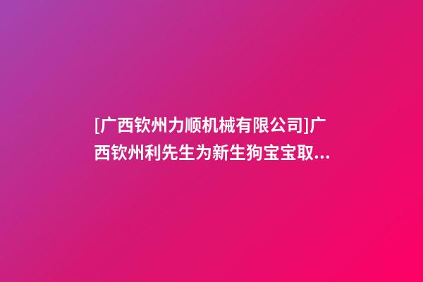 [广西钦州力顺机械有限公司]广西钦州利先生为新生狗宝宝取名时尚型套餐-第1张-公司起名-玄机派